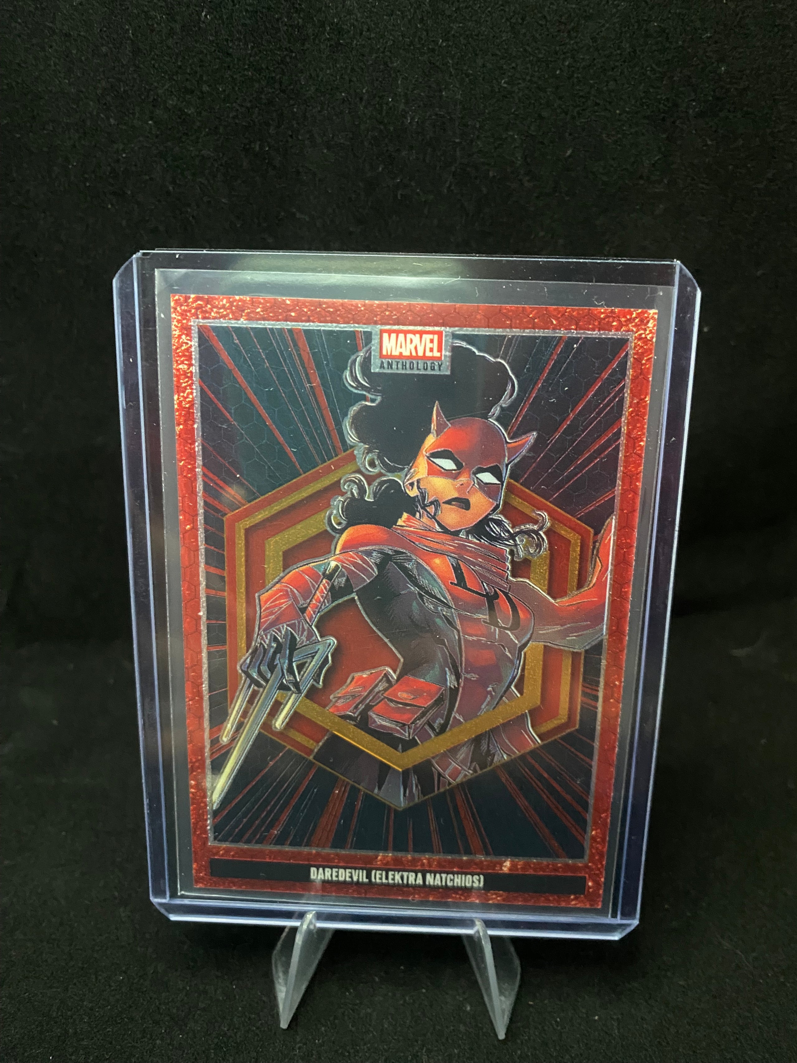Panini Marvel Anthology 2025 - Daredevil (Elektra Natchios) - Legacy Card - Y6
