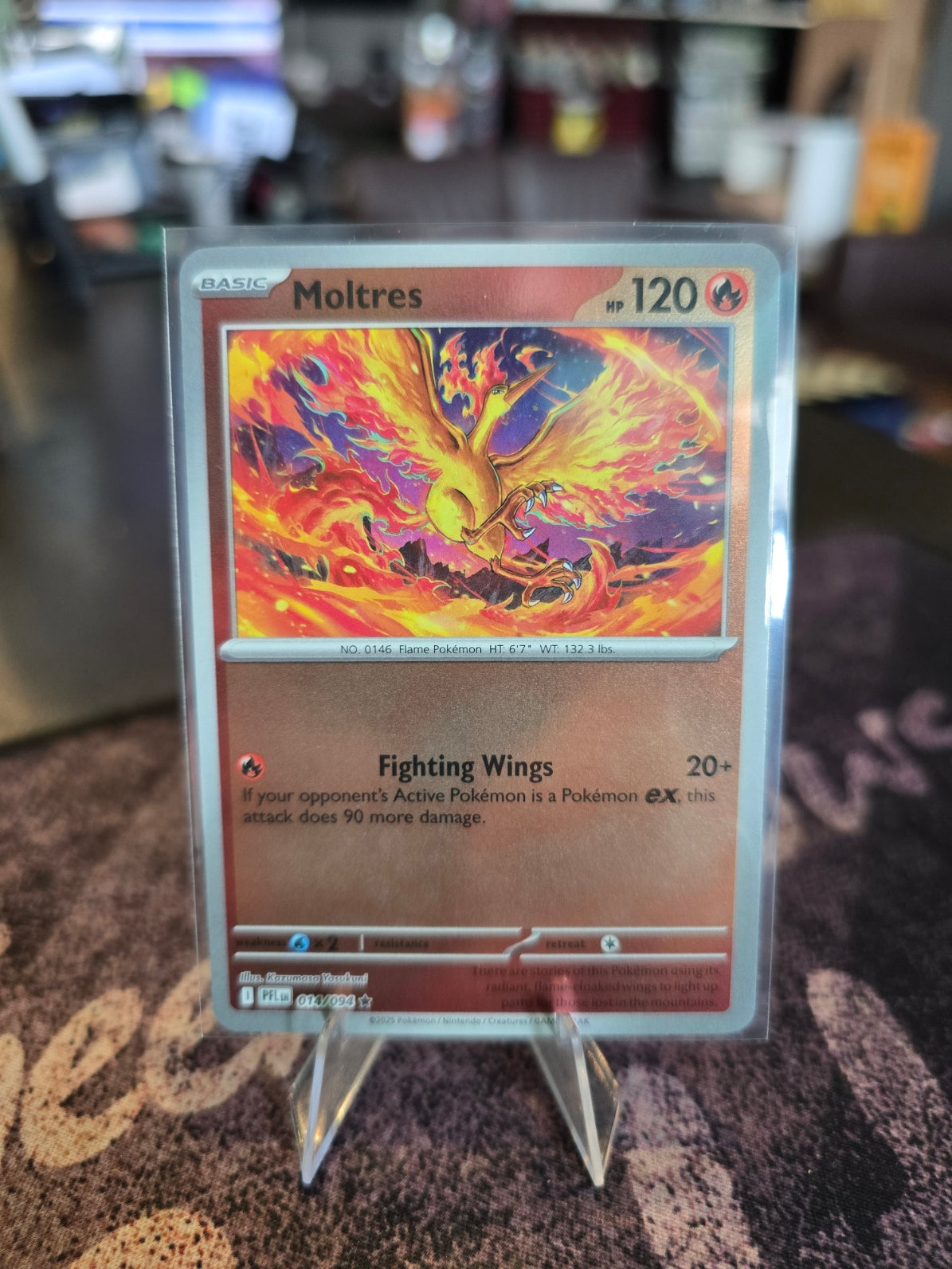 Pokémon - Moltres 014/094 Reverse Holo