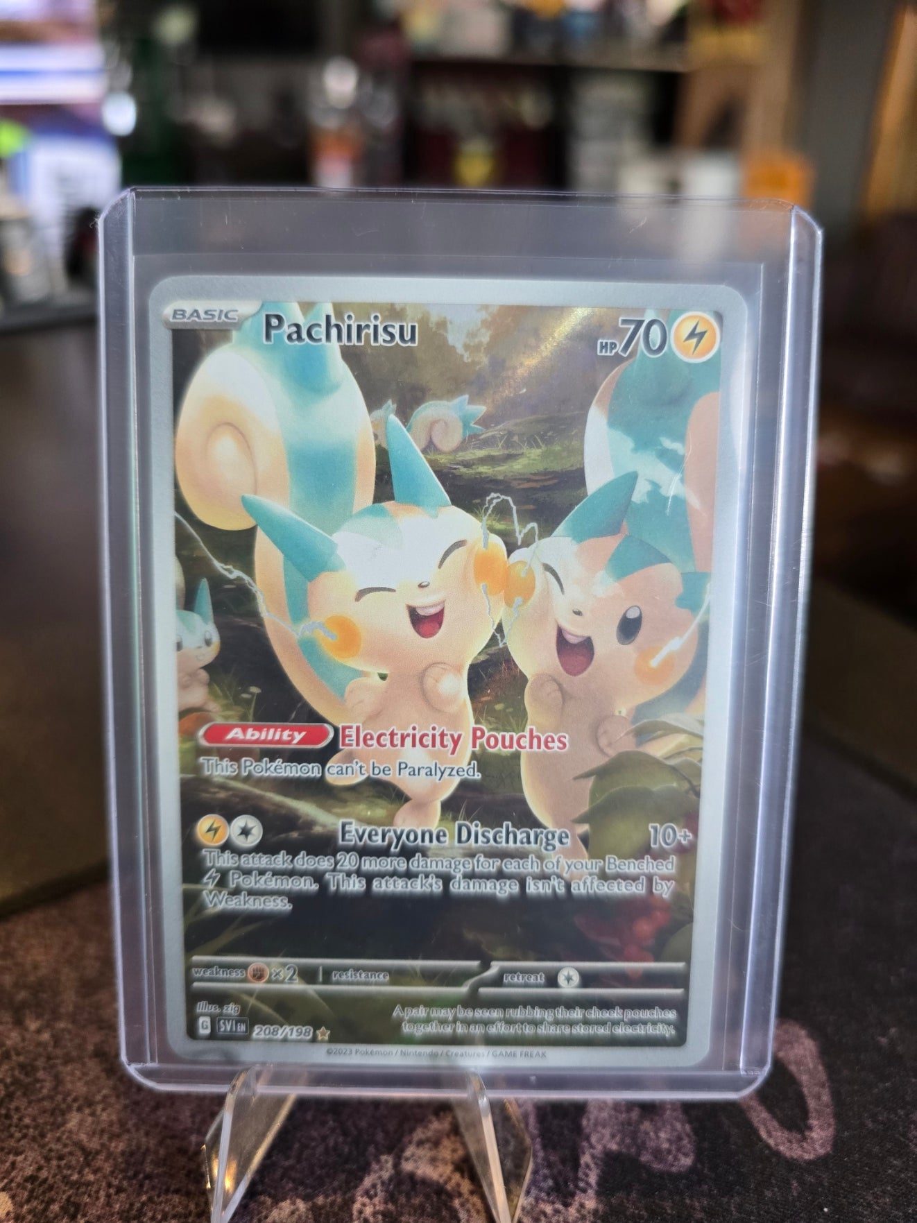 Pokémon - Pachirisu 208/198