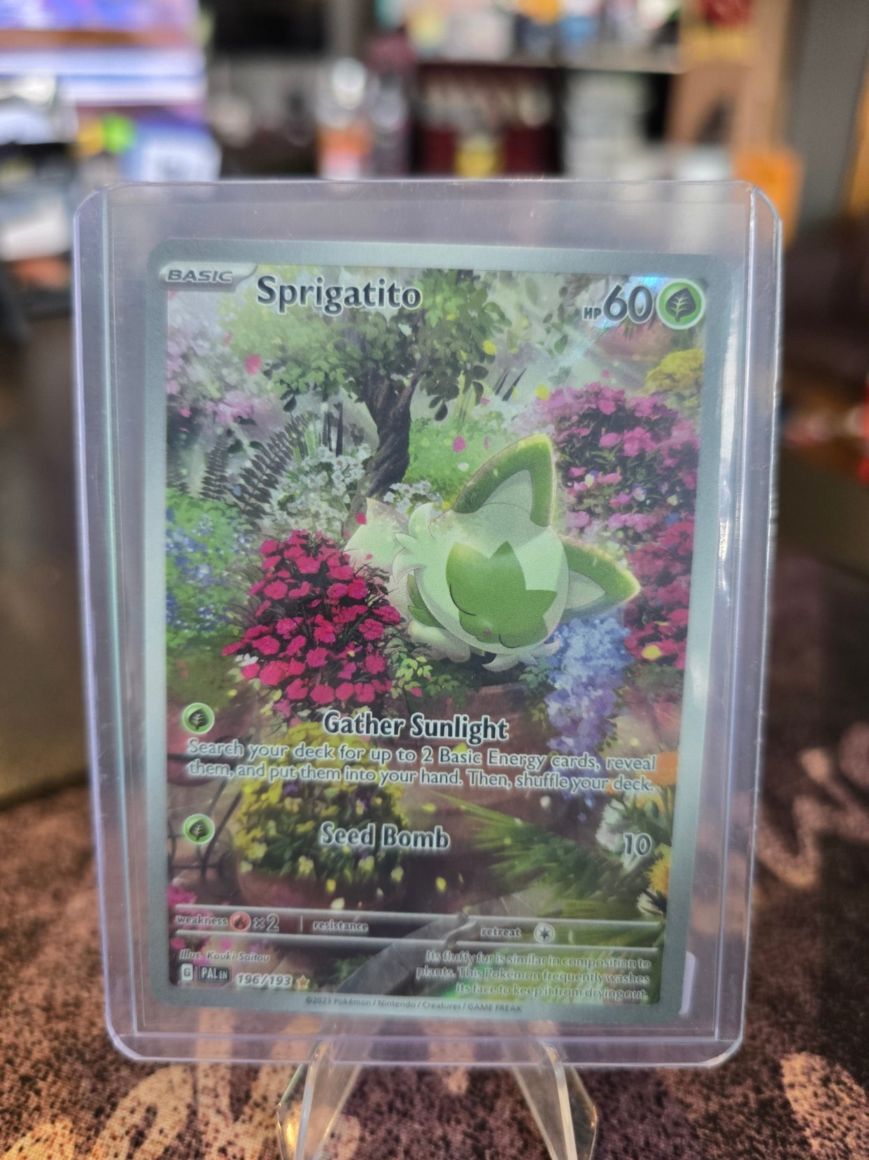 Pokémon - Sprigatito 196/193